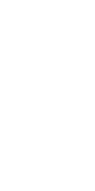 v img