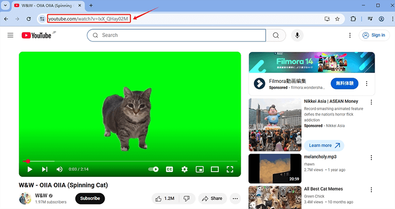 copy cat memes video url