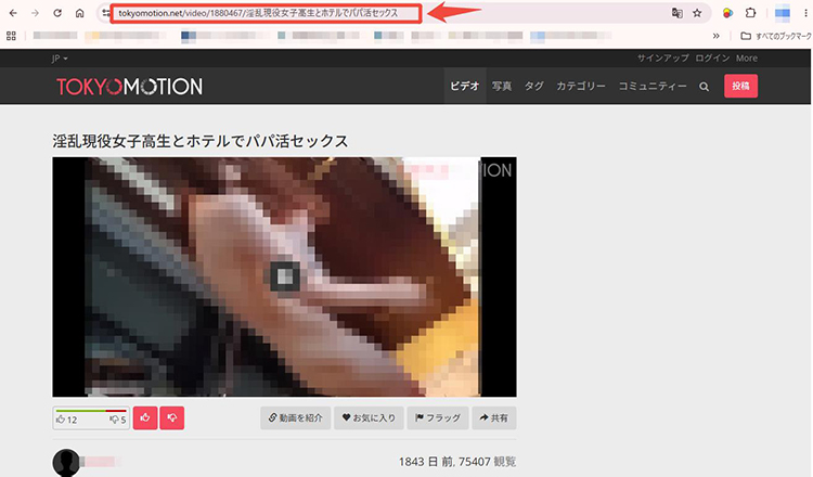 TokyoMotion動画のURLをコピー