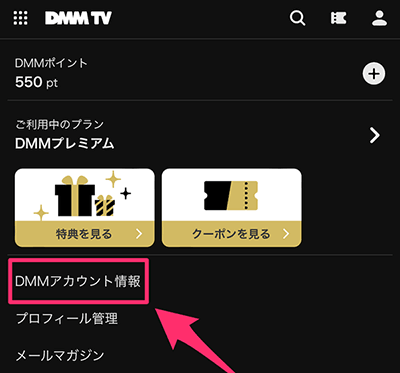 dmm account information