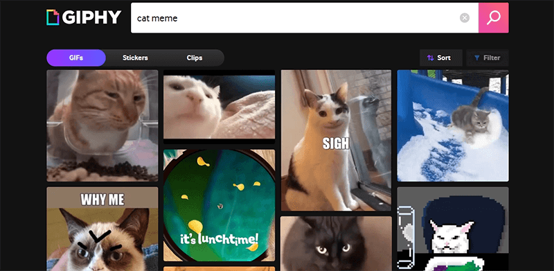 giphy cat memes