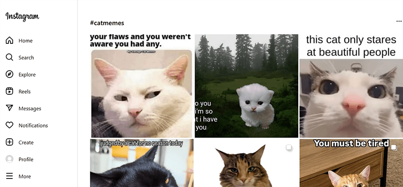 instagram cat memes