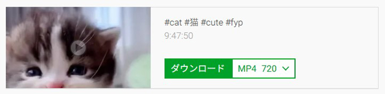 SaveFrom tiktok 保存 idなし