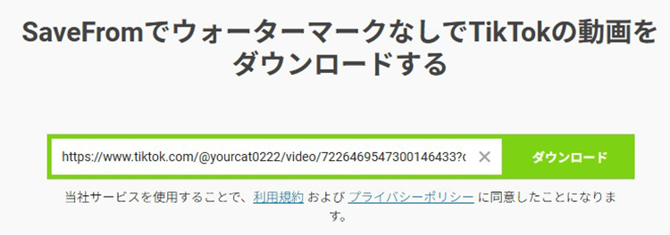 TikTok URLを貼り付け