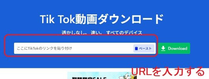 TikTok URLを貼り付け