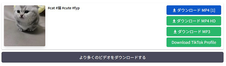 SnapTik tiktok 音源 保存