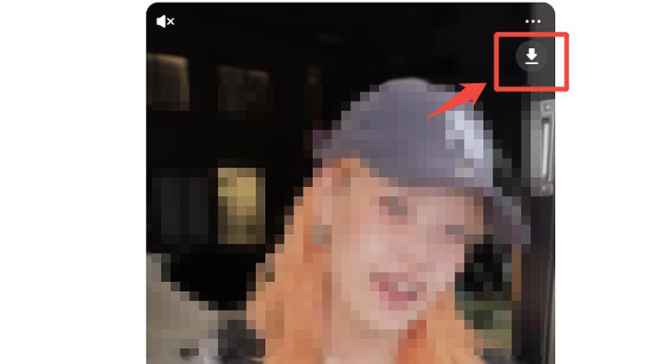 TikTok 動画ダウンローダー ダウンロードマーク