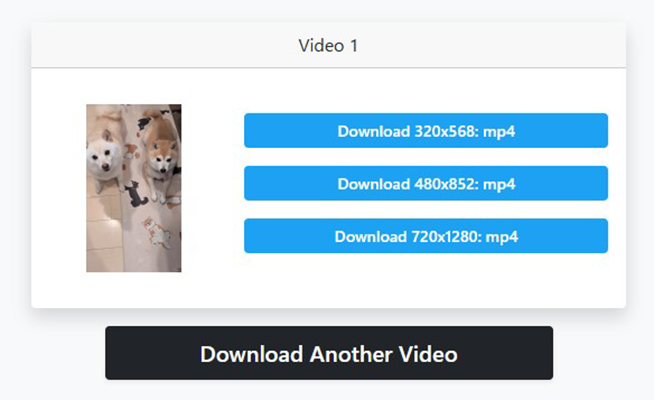 TwDown.net twitter twitter 複数動画 保存