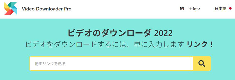 Video Downloader Pro