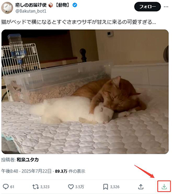 twitter 動画 保存 pc 拡張機能